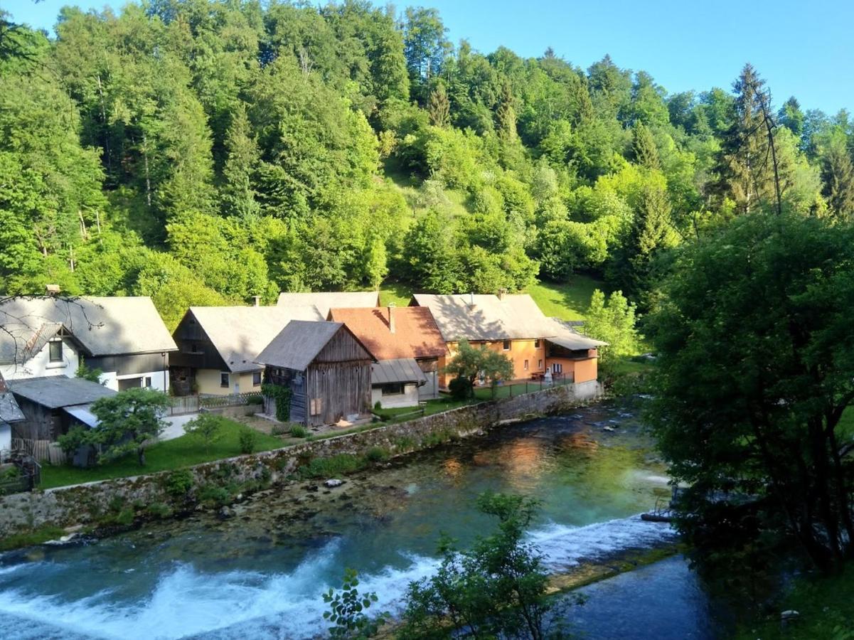 House By The River Vila Zgornje Gorje Exterior foto